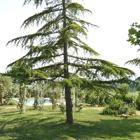 Βίλα Casa Cipressi By Posarellivillas