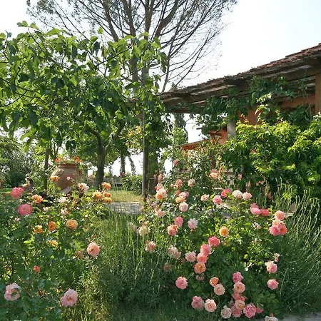 Casa Cipressi By Posarellivillas